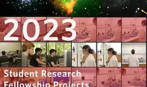 Student Research Fellowship Projects
