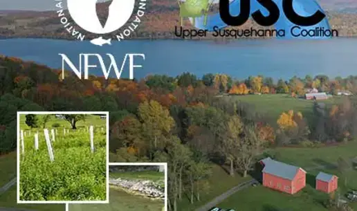 Partnership Plants 2,000 Trees to Lower Cyanobacteria Bloom Growth