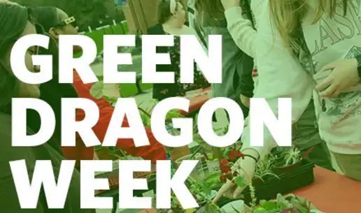 Green Dragon Week