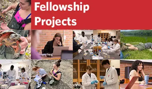 2024 Student Research Fellowship Projects