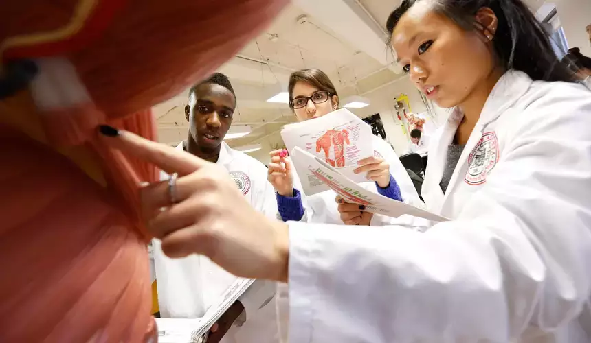 3 students studying a life-size human body in a anatomy and physiology lab