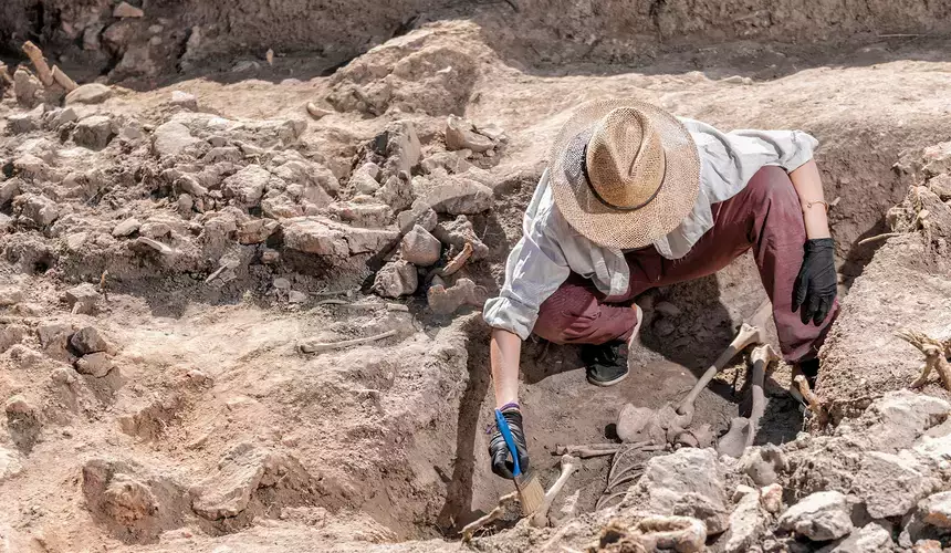 Archaeologist working in the field to uncover artifacts