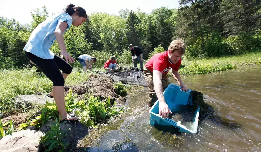 Undergraduate summer interns collect fish samples each week to study the water quality and large mouth bass