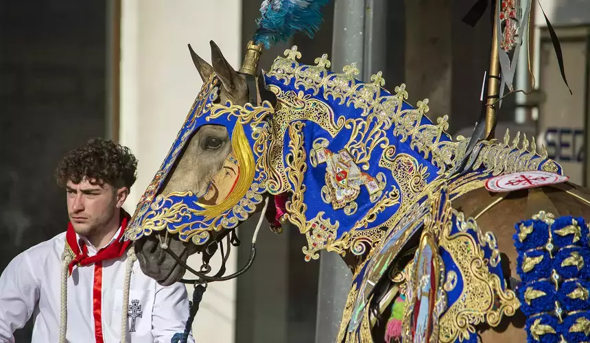 Spanish Horse Wearing Festive Decorations