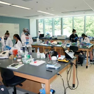 SUNY Oneonta students in a chemistry lab