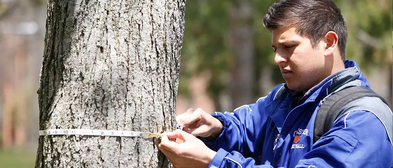 Botany class campus tree inventory project