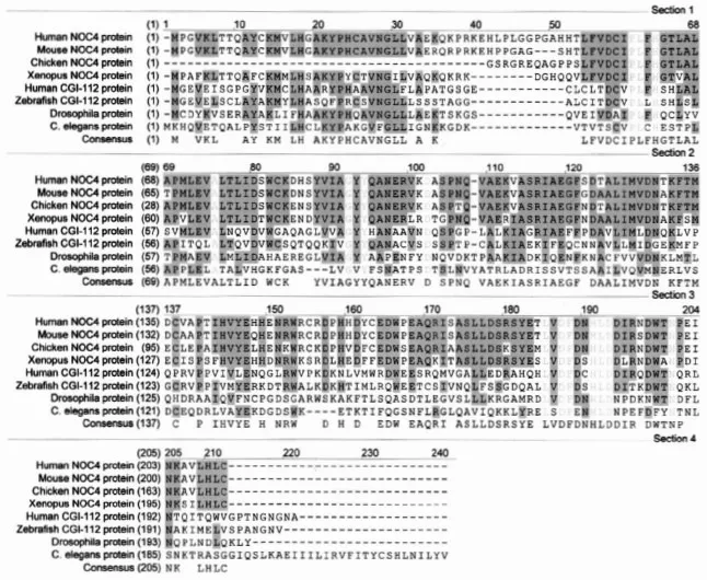 Figure 1: Amino acid sequence alignment of NOC4 proteins from human (GenBank AF005888), mouse (AF052621), chicken (AI982207), Xenopus (AW460924), and CGI-112 proteins from human (BE293727), zebrafish (AW133627), D. melanogaster (AI534856), and C. elegans (Z797541).