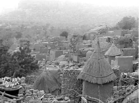 A dogon village filled with straw huts