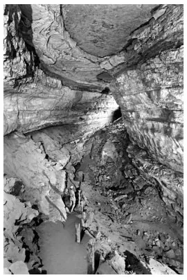 Figure 4: An example of an upper-level passage in Mammoth Cave, with remnants of sediment fill on the floor and left-hand wall. The posts and trail are remnants of a former tourist trail. Because the caves are totally dark, cave photos were taken with the aid of flash guns.