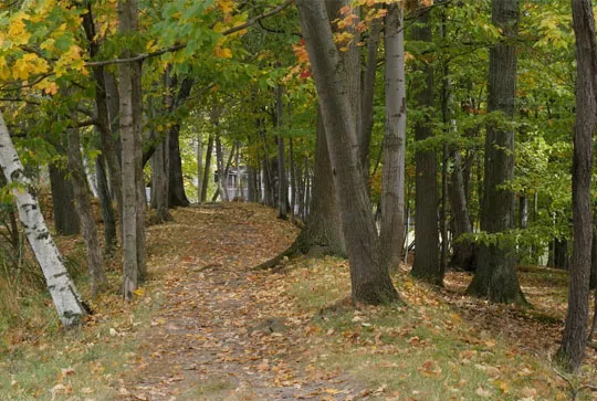 Hunt Union Path
