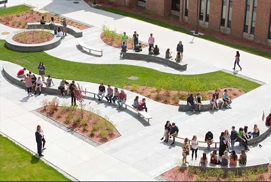 The Quad