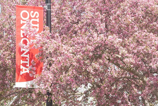 Spring time thumbnail