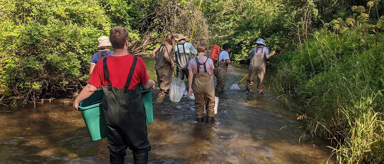Biology students collecting specimens using bins and nets during Stream Camp.