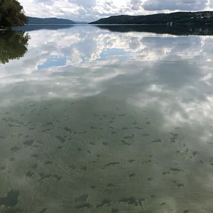 Looking south from the Springfield Public Landing, on the northern end of Otsego Lake. September 12, 2022