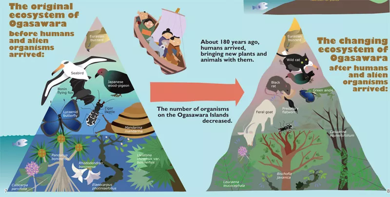 About 180 years ago humans arrived to Ogasawara bringing new plants and animals with them causing the number of organisms on the islands to decrease.