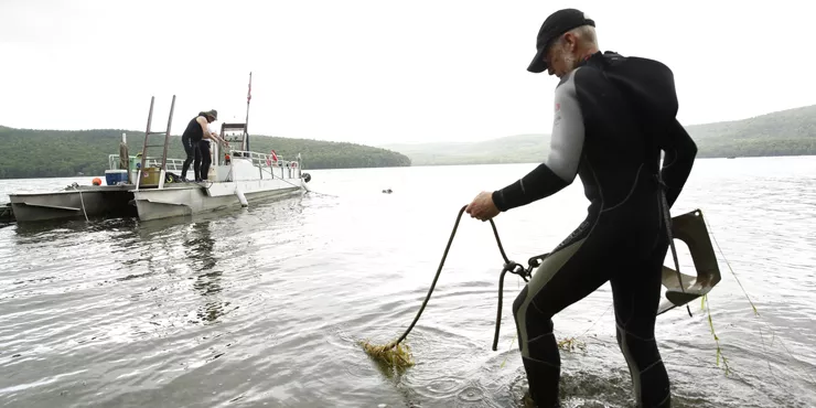 Biological Field Station research on Otsego Lake