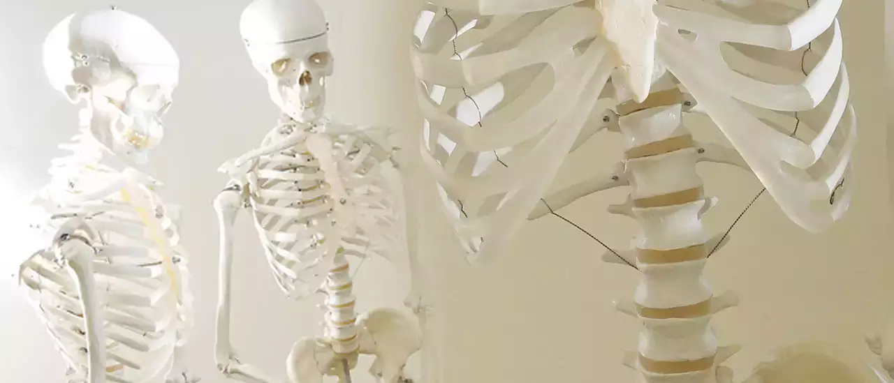 Pre-Chiropractic
