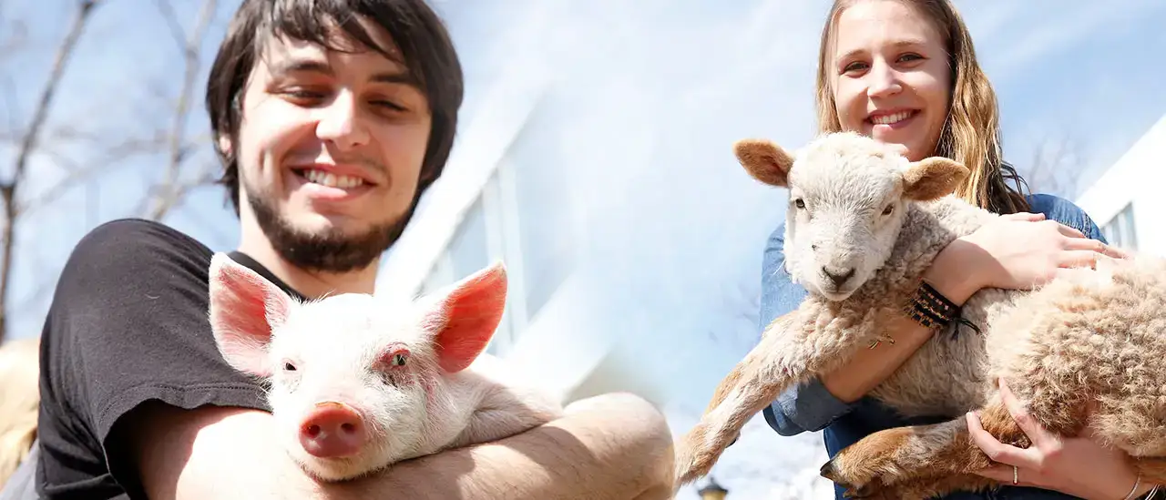 Pre-Veterinary Medicine