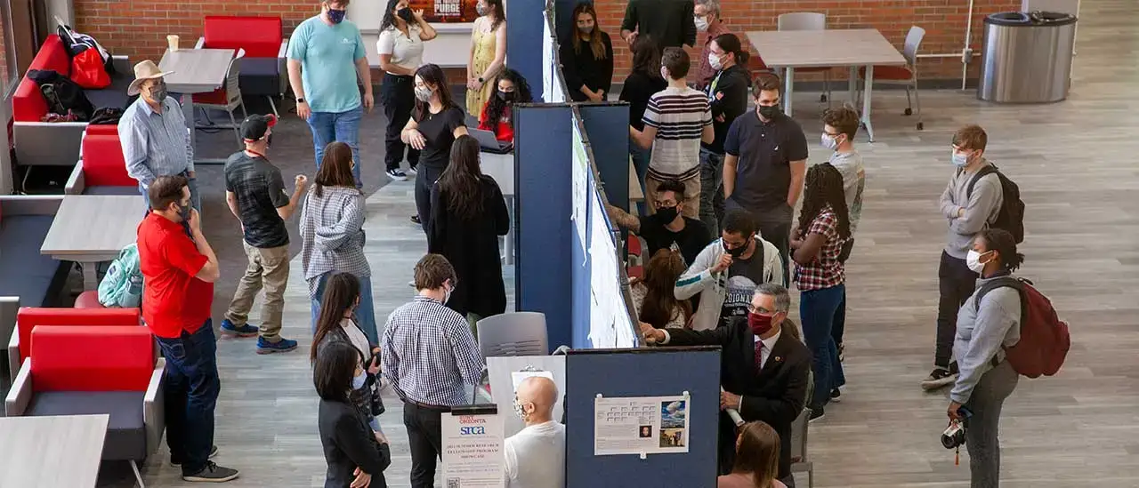 Summer Research Projects Slider