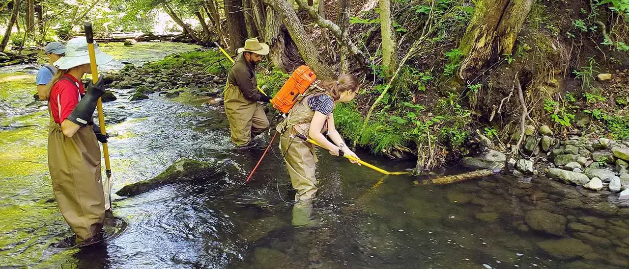 Field Entomology students