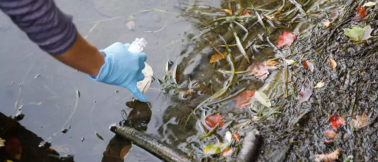 Testing for Harmful Algal Blooms