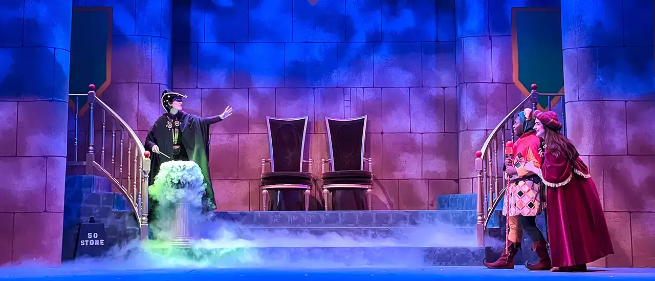 Once Upon a Mattress