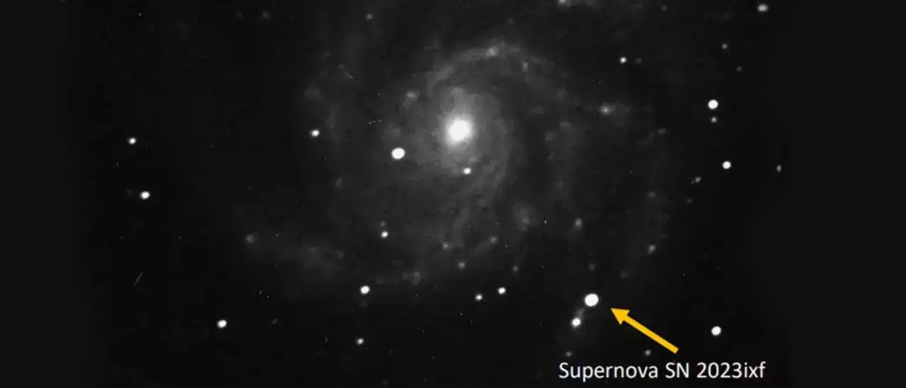 Supernova Imaging in the Pinwheel Galaxy 