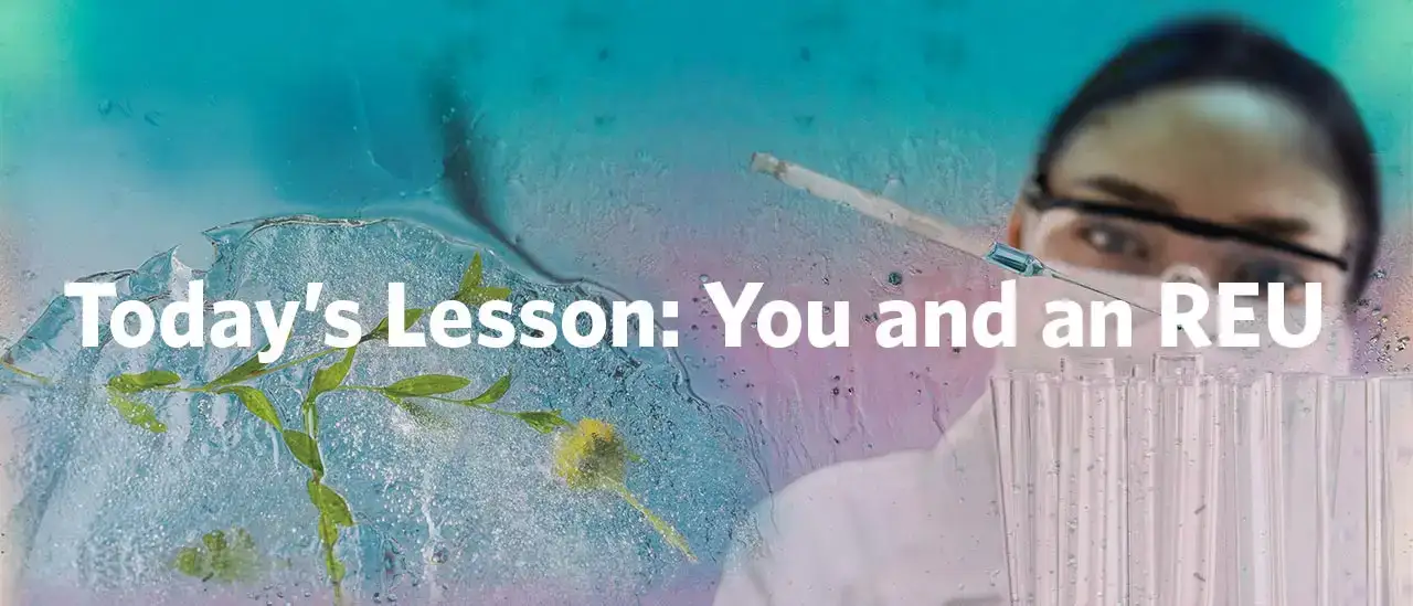 REU