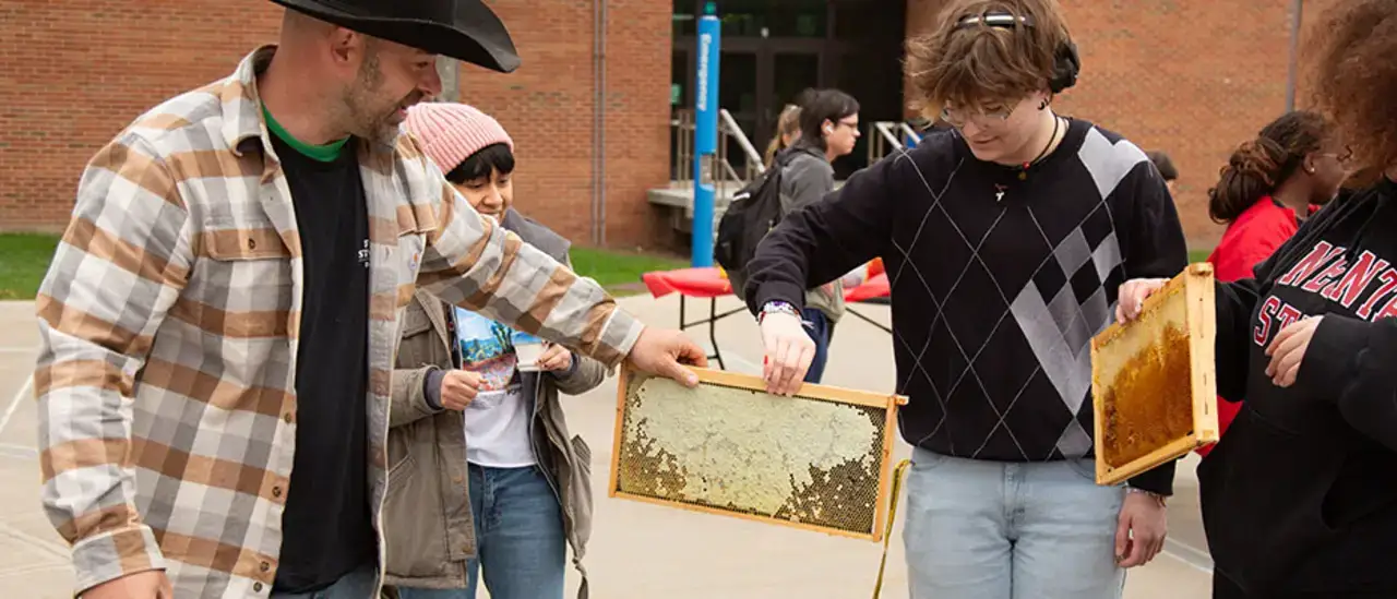 Honey exhibit green dragon week