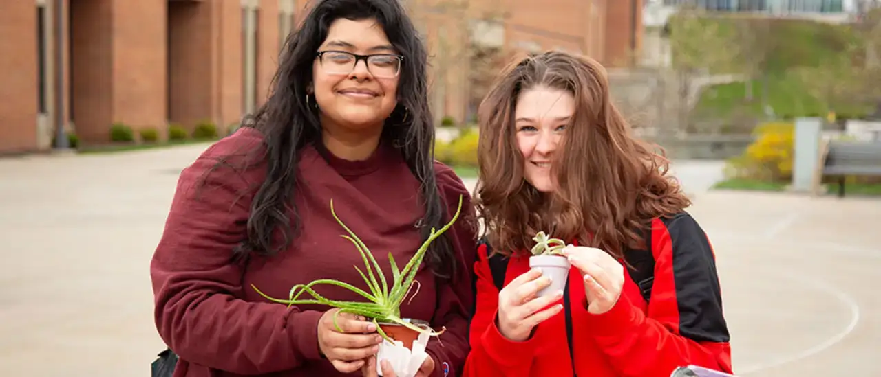 Planting in the quad