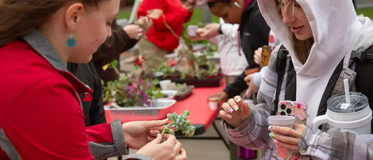 Planting in the quad