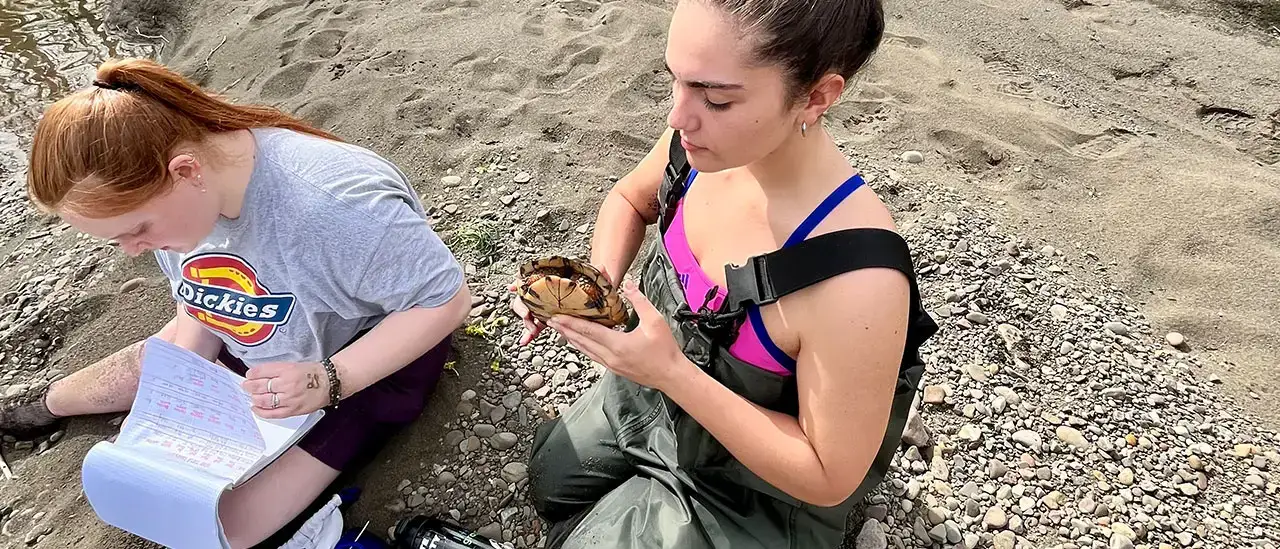 Habitat Selection of Wood Turtles