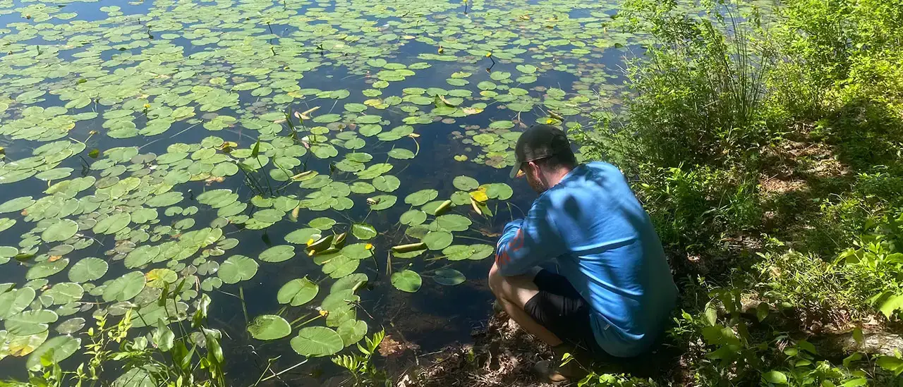 Trace Elements and Stable Isotopes 