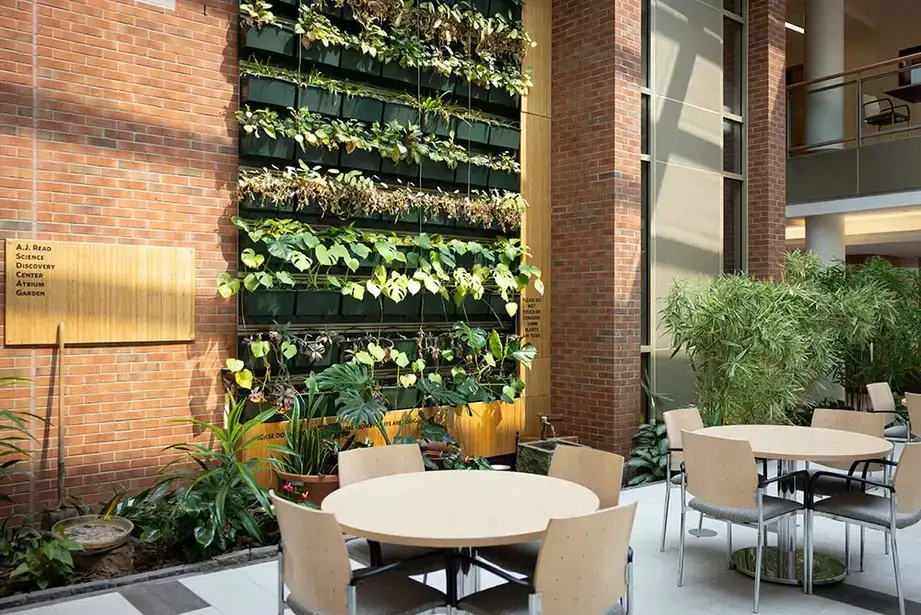 The living plant wall inside the atrium of the Science Discovery building