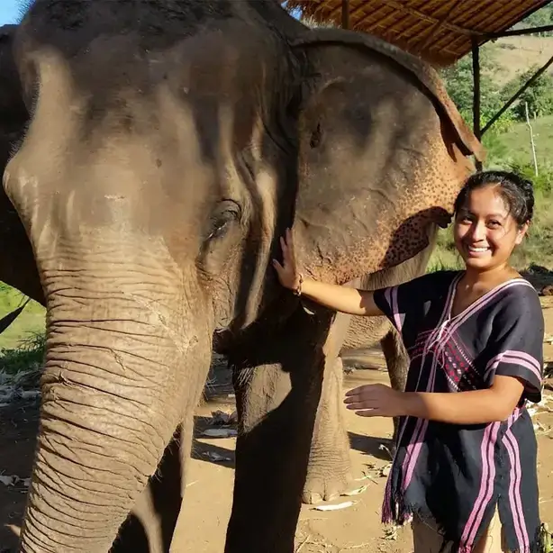 Angie Mendez poses with a large elephant in Thailand.