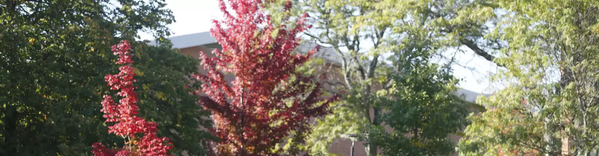 Learn about Oneonta virtually!