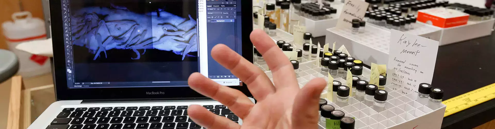 Biology students work on research projects in Associate Professor Florian Reyda&rsquo;s research lab at the Biological Field Station