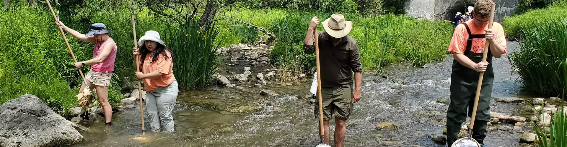 Field experience let students learn first-hand about the ecology of streams and rivers
