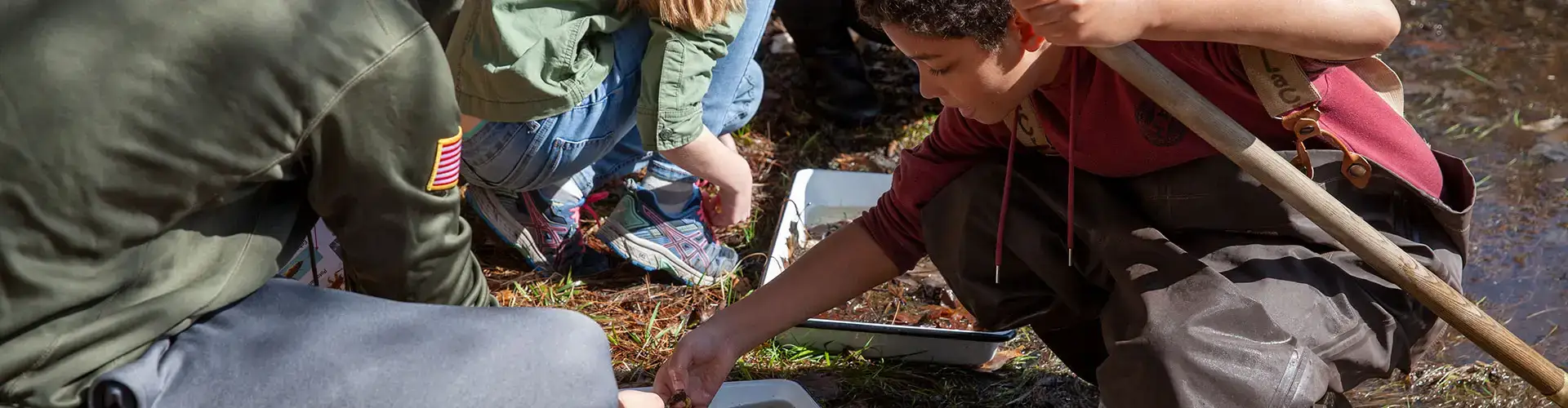 Children from Milford Central School exploring in the field.