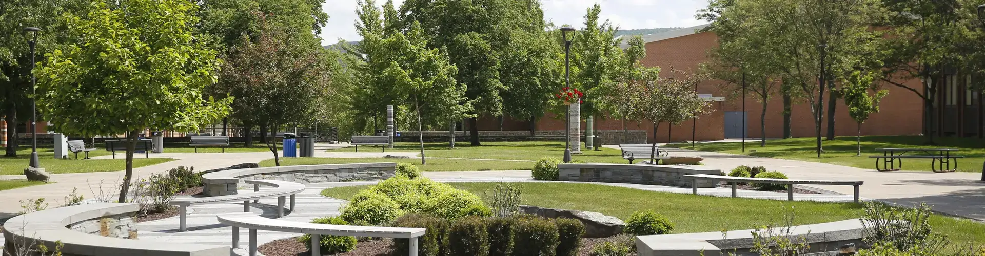 Summer view of quad bench seating surrounded by trees and plants