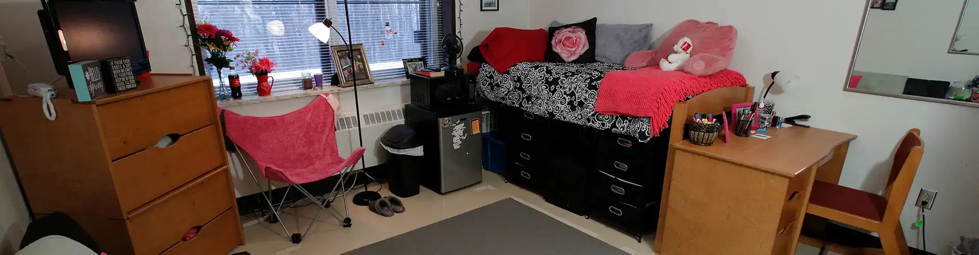 IRP single-style room in Littel Hall