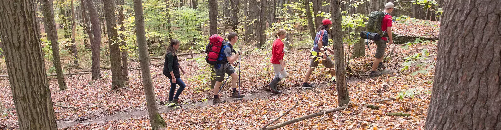 Hikers enjoy one of the many forested trails in and surrounding Oneonta
