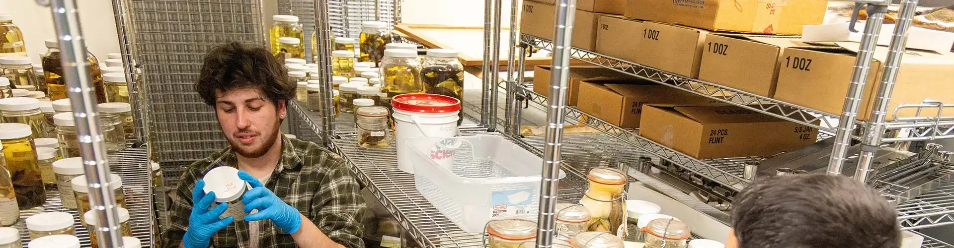 MS Biology student examines specimens in the lab.