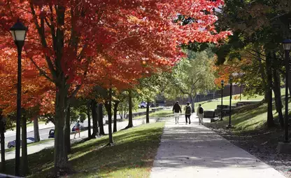 Park