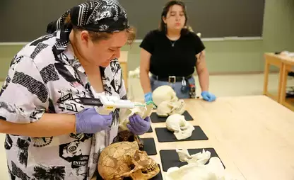 Students carefully observe and analyze dental replicas from different primates.