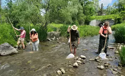Field experience let students learn first-hand about the ecology of streams and rivers