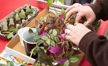 Environmental students promote plant exchange during Green Dragon Week.
