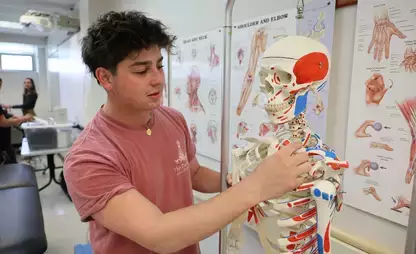 Exercise science student examining a model of the human skeletal system