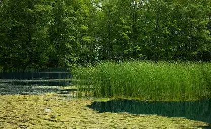 The Hunt Union Pond