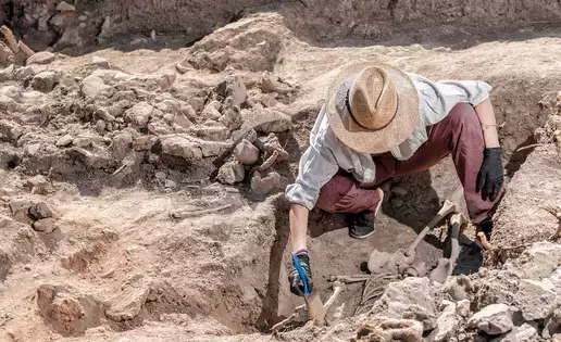 Archaeologist working in the field to uncover artifacts
